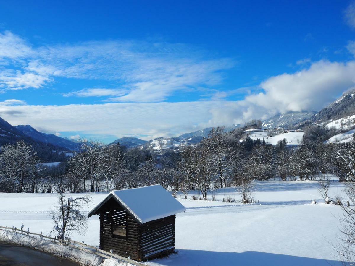 Ferienwohnung Haus Rohrmoser Christine St. Johann im Pongau Exterior foto