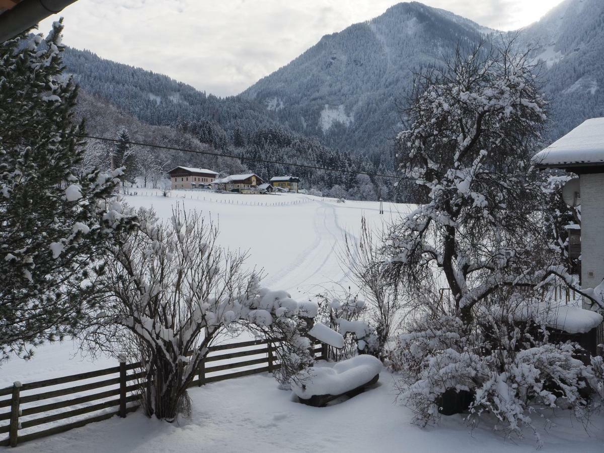Ferienwohnung Haus Rohrmoser Christine St. Johann im Pongau Exterior foto